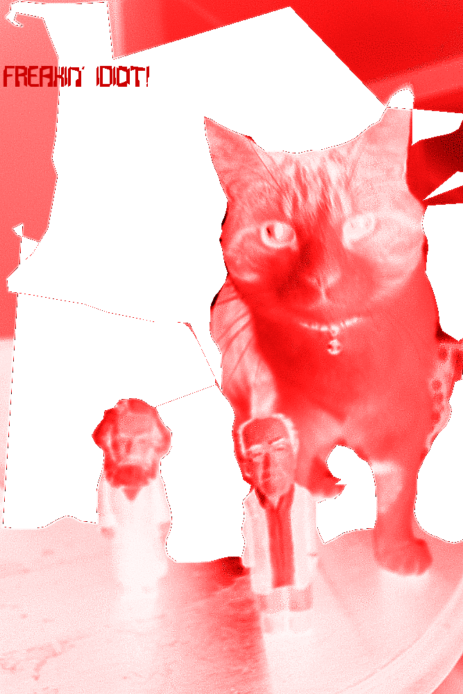153929299779608895.gif