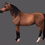 Miniature : Chincoteague Pony