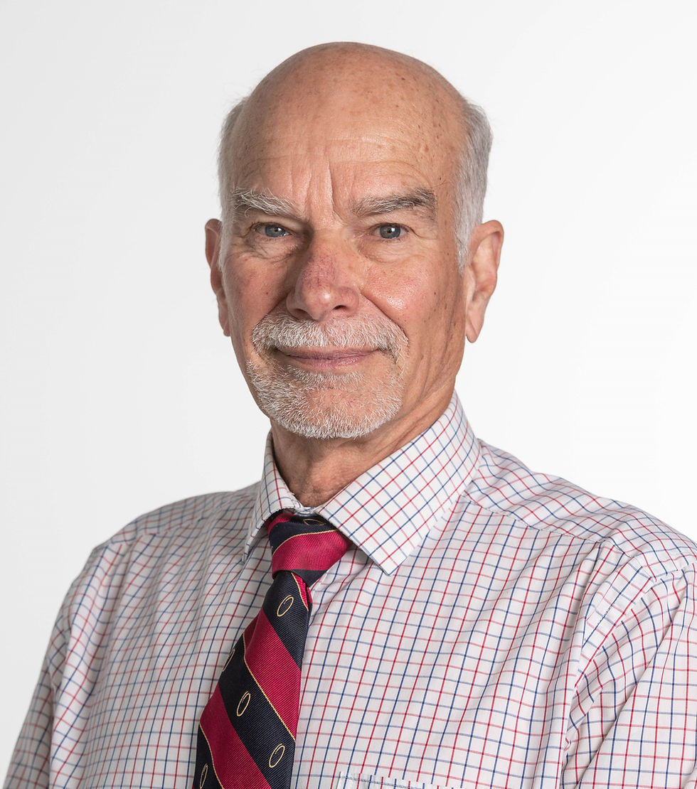 Professor NB Piller AO, BSc PhD FACP