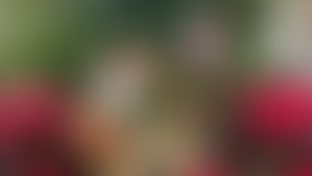 クリスマスまであと一か月🎄