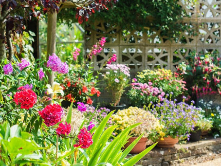 Garden preparation for Summer 