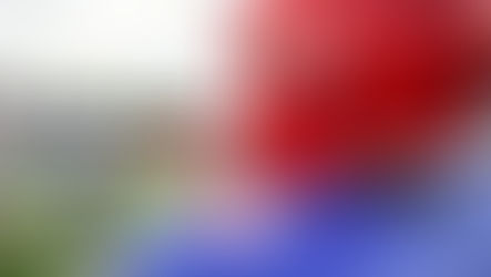 10 Reasons to Play School Sports