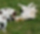 20190506_121933.jpg