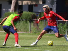 ¿Cuál es la probabilidad de que Chivas derrote al Puebla?