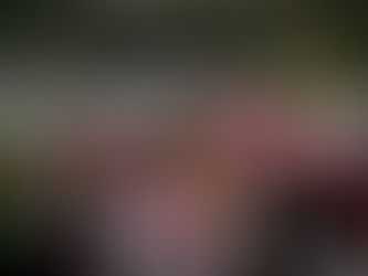 Ocotlán polo de inversión: Claudia Delgadillo