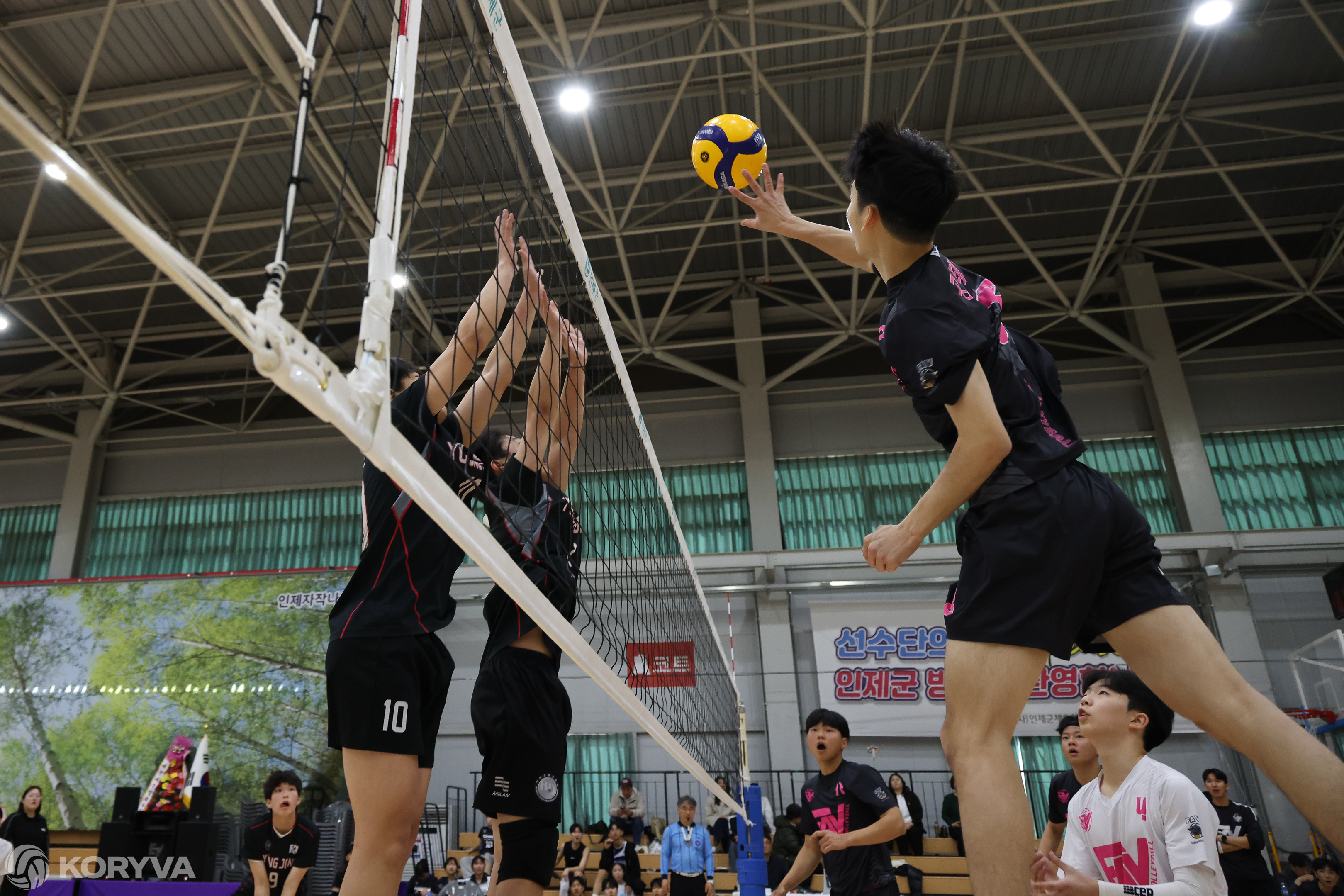 실전 경기 & 대회 1