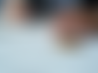 Understanding the Role of Notaries in Legal Documents