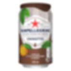 SANPELLEGRINO CHINOTTO 330ML