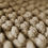 Thumbnail: Crochet Cotton Chunky Blankets 