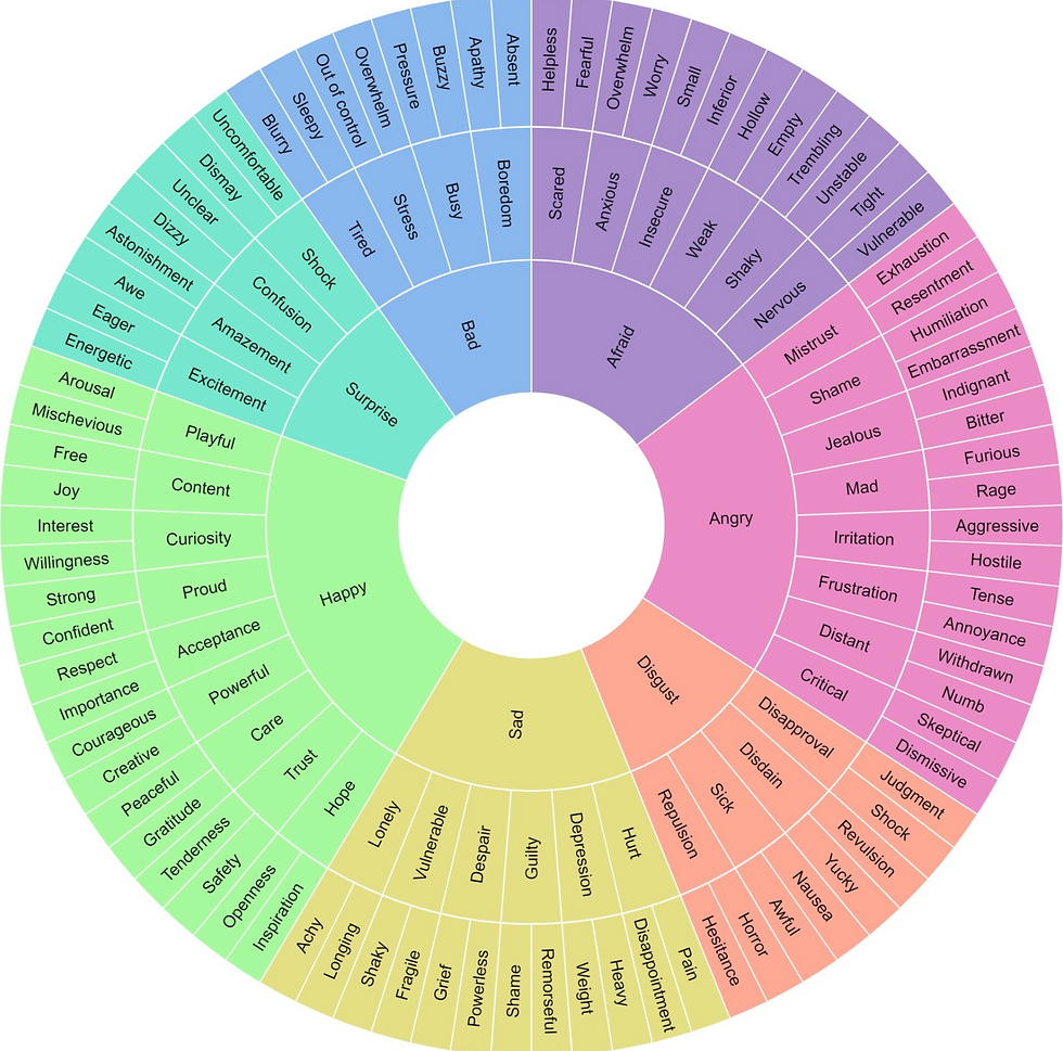 Emotion wheel - what do you feel?