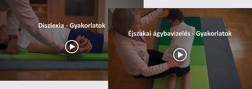 Composite video Image For Website - HU.png