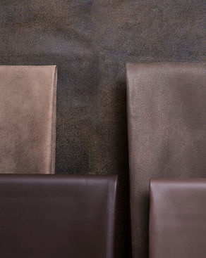 קולקציית עורות 3 (Copy).jpg