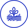 ico_importing_2x