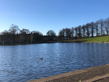 Walk to Inverleith Park