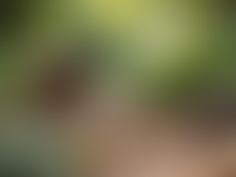 Exploring Familiar stories