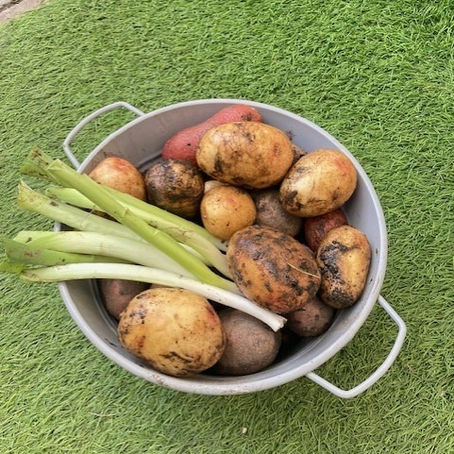 Harvesting and gardening