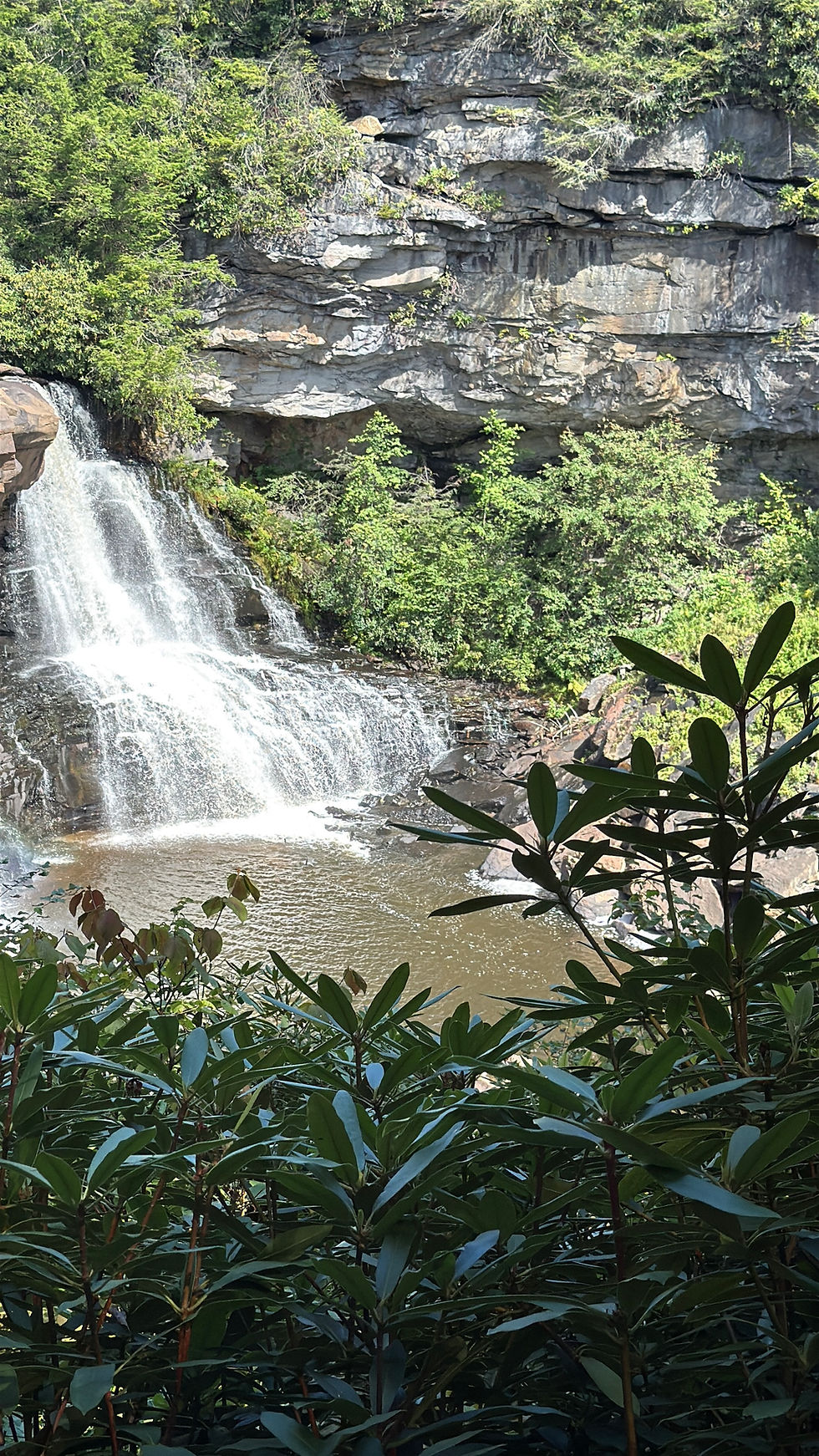 200 Steps to Wonder: Discovering Blackwater Falls
