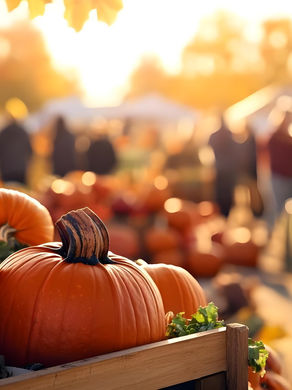 🎃 Our Favorite Pumpkin Patches & Corn Mazes in the DMV (2025)