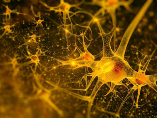 6 Big Mysteries of Alzheimer's Disease