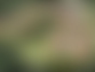 Inside the $28 Million Alzheimer's Village Where Patients Can Shop, Farm and Socialize Freely