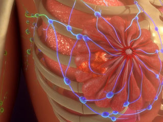 Breast cancer recruits cells from bone marrow to boost growth