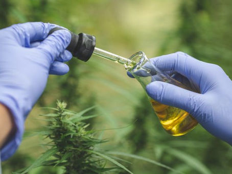 Ways That CBD Can Help With Liver Diseases