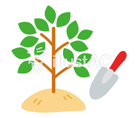 記念植樹　植えた後