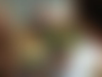 Mehrwegpflicht - warum ein Gesetz allein nichts verändern kann