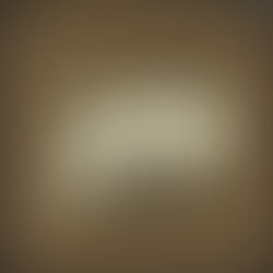 THE CRACKED MIRROR THAT IS CONNECTICUT