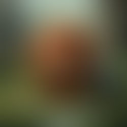 OP-ED: PROTECTING DEMOCRATS IS A MAJOR INDUSTRY