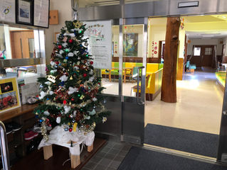 クリスマスツリー🎄