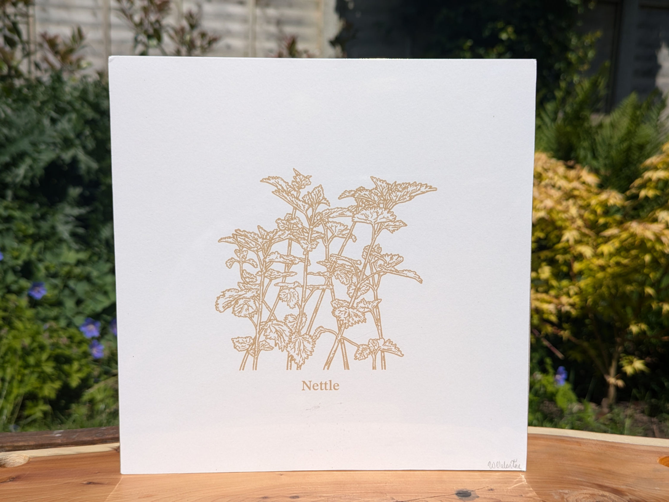 Nettle - 20x20cm Natural Ink Screen Print