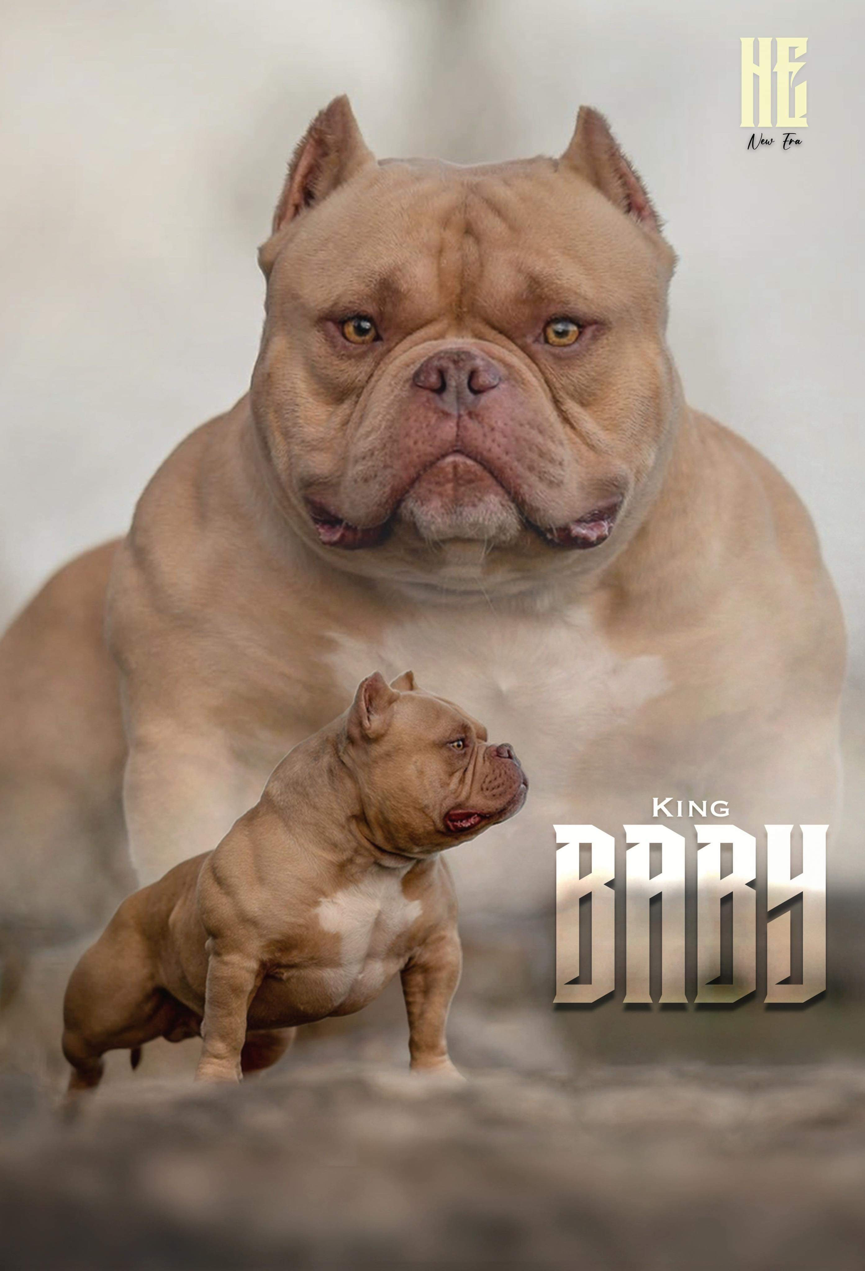 King Baby