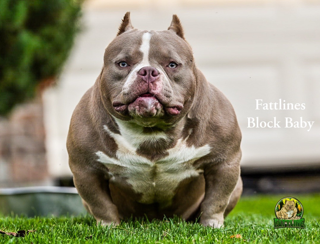 Block Baby