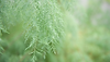 Untitled design (6).png
