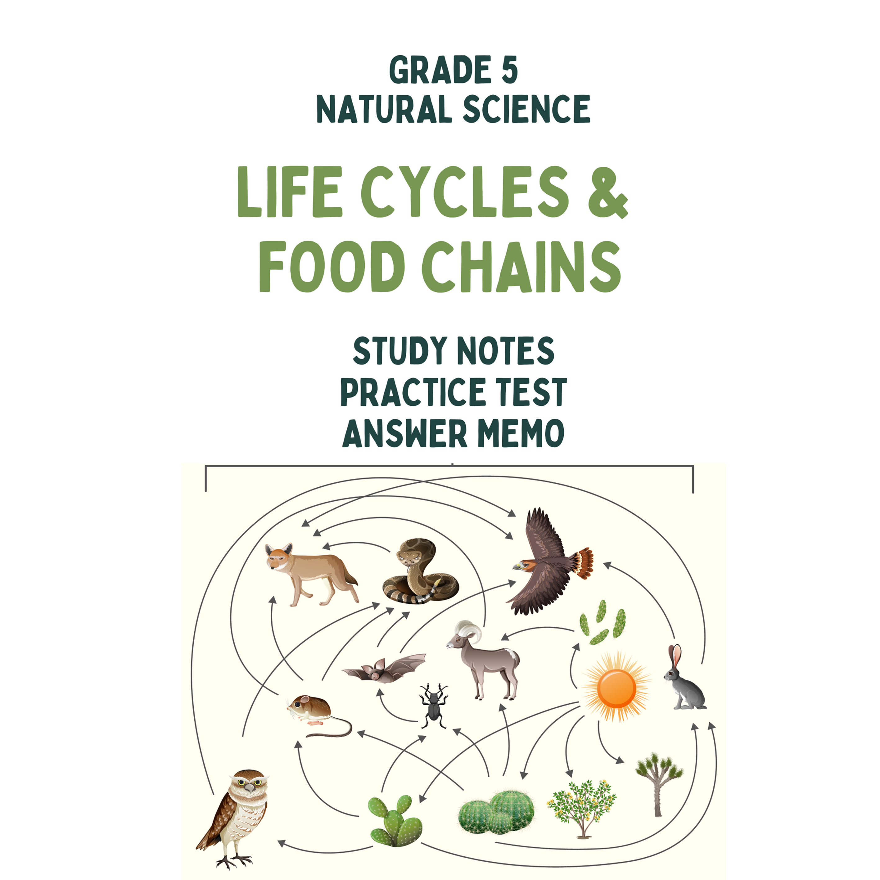 Grade 5: Natural Science: Food chains and Life cycles
