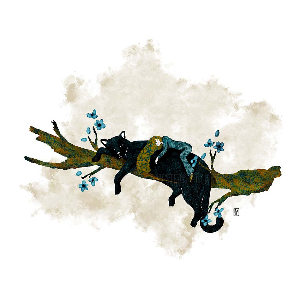 Cat Nap