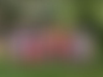 [초등2반] 제1주 수업