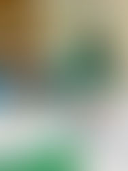 [유아반] 제10주 수업