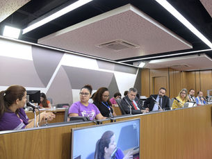 ASSESSORIAS TÉCNICAS INDEPENDENTES PARTICIPAM DE AUDIÊNCIA PÚBLICA NA ASSEMBLEIA LEGISLATIVA DE MG