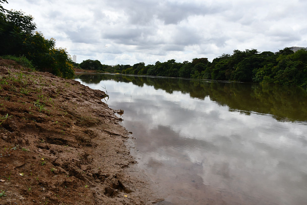 rio doce
