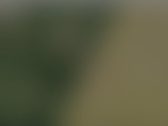 Empresa realiza estudo sobre a contaminação de alimentos na Bacia do Rio Doce