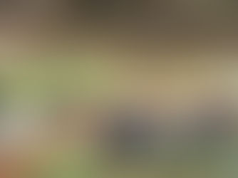 Ibama realiza reunião pública sobre destinação dos rejeitos da Usina Hidrelétrica de Candonga