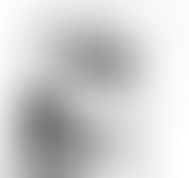 Showcasing Rich Andhra Heritage