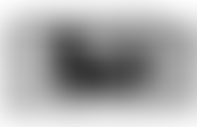 Bonding Through Celebration