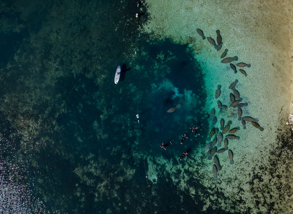SUP en Crystal Riveras, Florida. Estados Unidos, Aqua Marina, Descubre Sin Limites