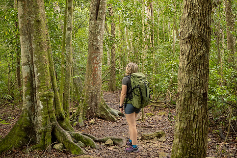 Reserva de la Biosfera de Calakmul, Descubre Sin Limites