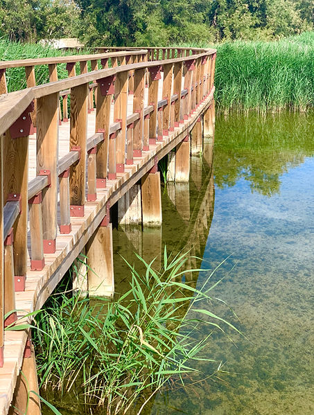 Tablas de Daimiel, Descubre Sin Limites