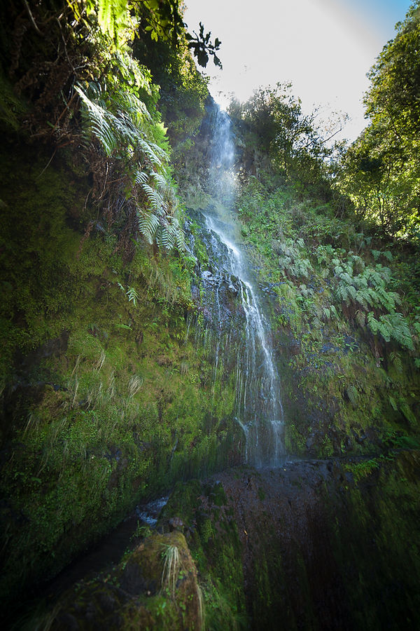 Levada Queimadas, Madeira