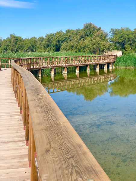 Tablas de Daimiel, Descubre Sin Limites